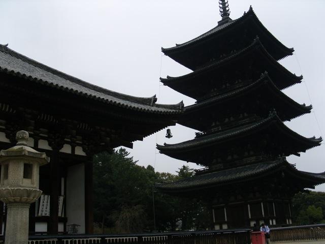 SNV11630.jpg